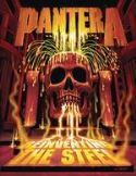 ROCK & ROLL BIOGRAPHIES PANTERA