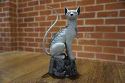 LCSD 2016 LYING CAT STATUE EXC (Net)