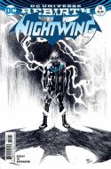 NIGHTWING #14 VAR ED