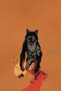 NAMWOLF #2 SPECIAL MIGNOLA CVR