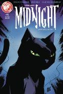 HERO CATS MIDNIGHT OVER STELLAR CITY VOL 2 #1