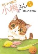 PLUM CRAZY TALES OF TIGER STRIPED CAT GN VOL 01