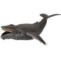 TOY BOX SOFUBI 013 HUMPBACK WHALE SOFT VINYL FIG