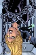 ROBYN HOOD THE HUNT #1 CVR B RIVEIRO