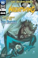 NIGHTWING #40