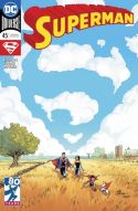 SUPERMAN #45