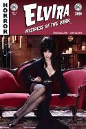 ELVIRA MISTRESS OF DARK #1 CVR F SUBSCRIPTION PHOTO