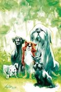 BEASTS OF BURDEN WISE DOGS & ELDRITCH MEN #1 (OF 4) VAR CVR