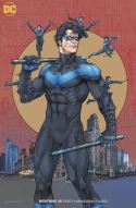 NIGHTWING #48 VAR ED