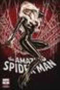 DF AMAZING SPIDER-MAN #1 BROOKS SKETCH EXC