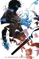 NIGHTWING #54 VAR ED