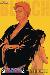 BLEACH 2IN1 TP VOL 25