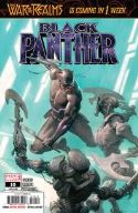 BLACK PANTHER #10