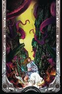 OZ HEART OF MAGIC #1 (OF 5) CVR E COLAPIETRO