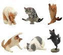 ANIMAL LIFE YOGA CAT 8PC BMB DIS