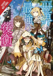 WORLD STRONGEST REARGUARD LABYRINTH NOVICE NOVEL SC VOL 01 (