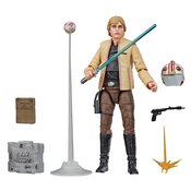 SW BLACK CON EXC LUKE SKYWALKER CELEBRATION 6IN AF CS