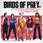 BIRDS OF PREY HARLEY QUINN 2021 WALL CALENDAR