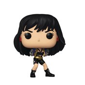 POP HEROES WONDER WOMAN 80TH WW THE CONTEST VIN FIG