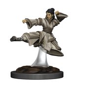 D&D ICONS REALM PREMIUM PAINTED FIG HUMAN MONK FEMALE