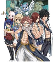 FAIRY TAIL 100 YEARS QUEST GN VOL 08