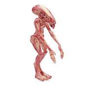 ALIEN RESURRECTION NEWBORN ALIEN REACTION FIG  (O/A) (C