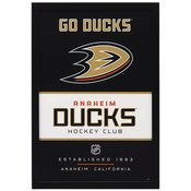 ANAHEIM DUCKS FRAMED WOOD WALL DECOR