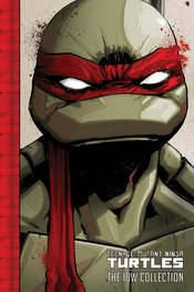 TMNT ONGOING (IDW) COLL TP VOL 01