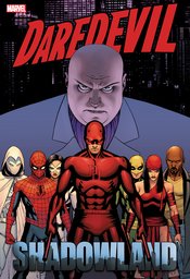 DAREDEVIL SHADOWLAND OMNIBUS HC CASSADAY NEW PTG CVR