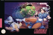 DF TMNT VS STREET FIGHTER #4 NYCC EXC BESCH