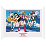 SAILOR MOON GROUP 12X16 FRAMED PRINT