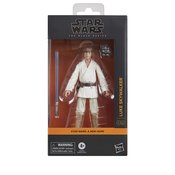 SW BLACK SERIES ANH 6IN SCALE LUKE SKYWALKER AF