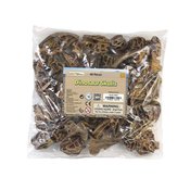 YAFARI DINO SKULLS TOY FIG 48PC BULK ASST