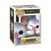 POP ZODIAC AQUARIUS JANUARY FIG