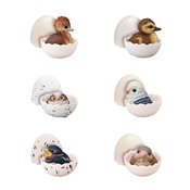 TENORI BABY FRIENDS BIRDS 12PC BMB DS