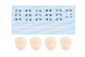 SOUSAISHOJOTEIEN CUSTOMIZED FACE & DECAL SET V6