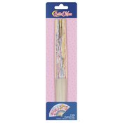 SAILOR MOON AND FRIENDS FAN