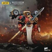 JOYTOY WH 40K BLOOD ANGELS DWNBRKR COHORT DAWN 1 1/18 FIG (N