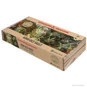 D&D WOODEN DICE VAULT