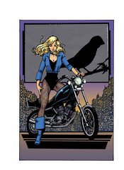 BIRDS OF PREY #22 CVR D GEORGE PEREZ LEGACY CSV