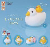 SOFT DUCK DAYS 40PC CAPSULE ASST