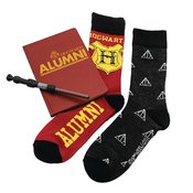 HARRY POTTER JOURNAL AND SOCK BUNDLE
