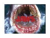 JAWS MOUTH 2 1/2IN X 3 1/2IN FLAT MAGNET