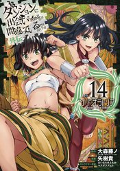 IS WRONG PICK GIRLS DUNGEON SWORD ORATORIA NOVEL SC VOL 14 (