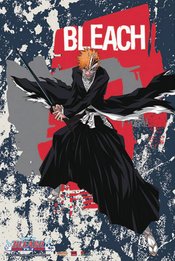 BLEACH ICHIGO WALL SCROLL