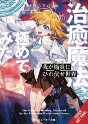 WORLD BOWS DOWN BEFORE MY FLAMES LIGHT NOVEL SC VOL 03