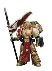 WH40K BLOOD ANGELS SANGUINARY GUARD 3 BOLTGUN SPEAR 1/18 AF