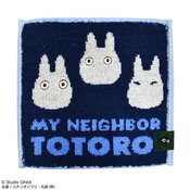 MY NEIGHBOR TOTORO WHITE TOTORO MINI TOWEL 10PC BOX  (C