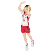 HAIKYU POSING KENMA KOZUME 7.5IN STATUE