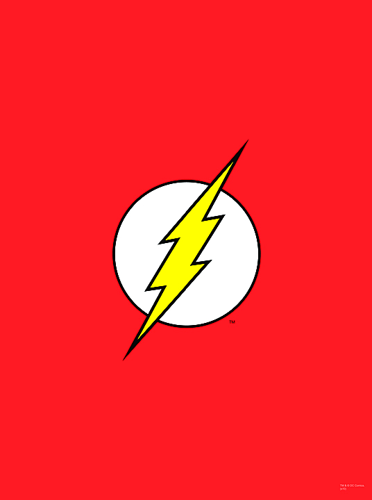 FEB101598 DC HEROES FLASH LOGO WALL SCROLL Previews World